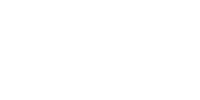 Autohaus Widmann